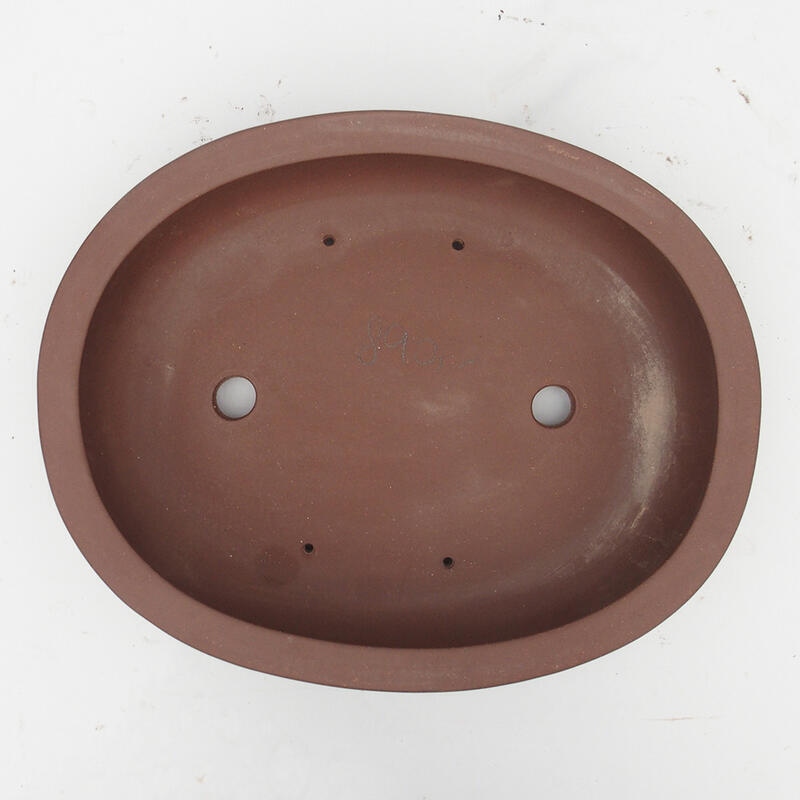 Bonsaischaal 35 x 28 x 9 cm - Japanse kwaliteit