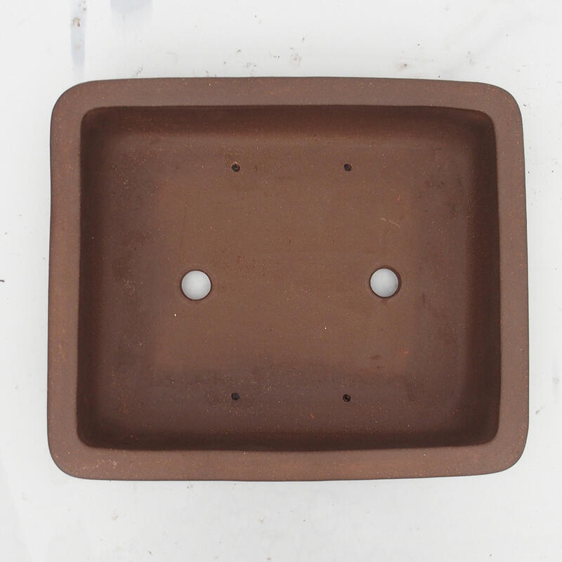 Bonsaischaal 35 x 29 x 8 cm - Japanse kwaliteit