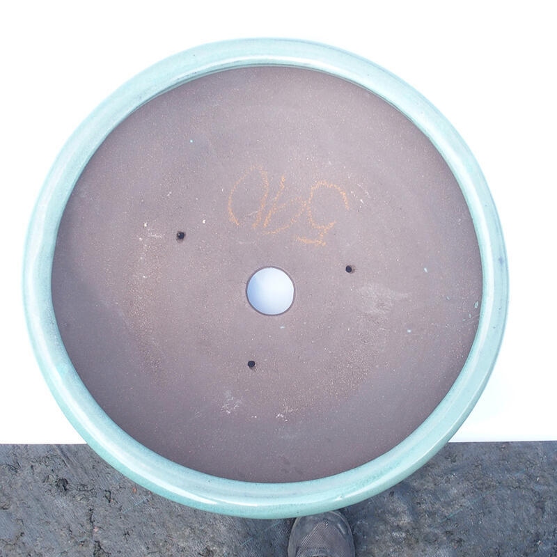 Bonsaischaal 35 x 35 x 10 cm groen