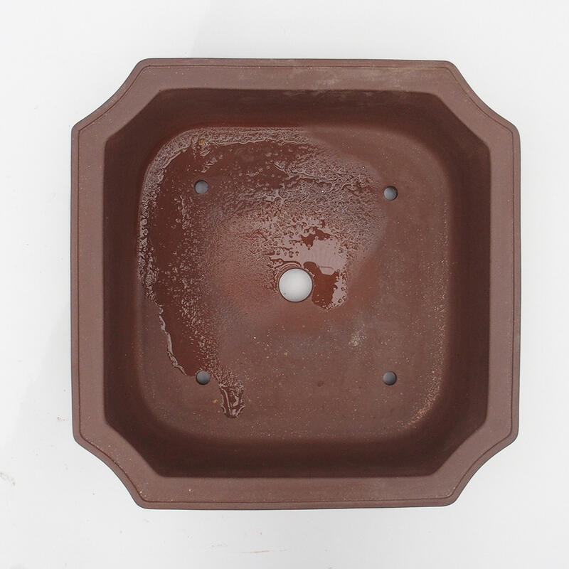 Bonsaischaal 35 x 35 x 10 cm - Japanse kwaliteit