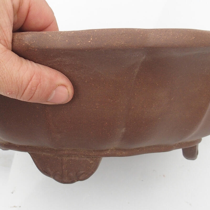 Bonsaischaal 35 x 35 x 11 cm - Japanse kwaliteit