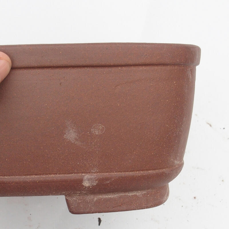 Bonsaischaal 36 x 30 x 11 cm - Japanse kwaliteit