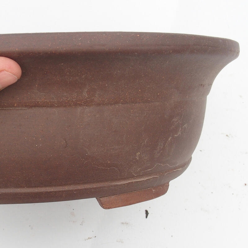 Bonsaischaal 36 x 31 x 12 cm - Japanse kwaliteit