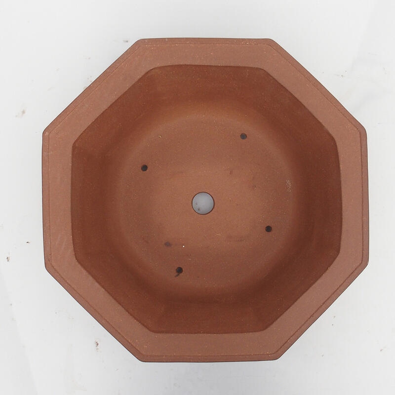 Bonsaischaal 36 x 34 x 12 cm - Japanse kwaliteit