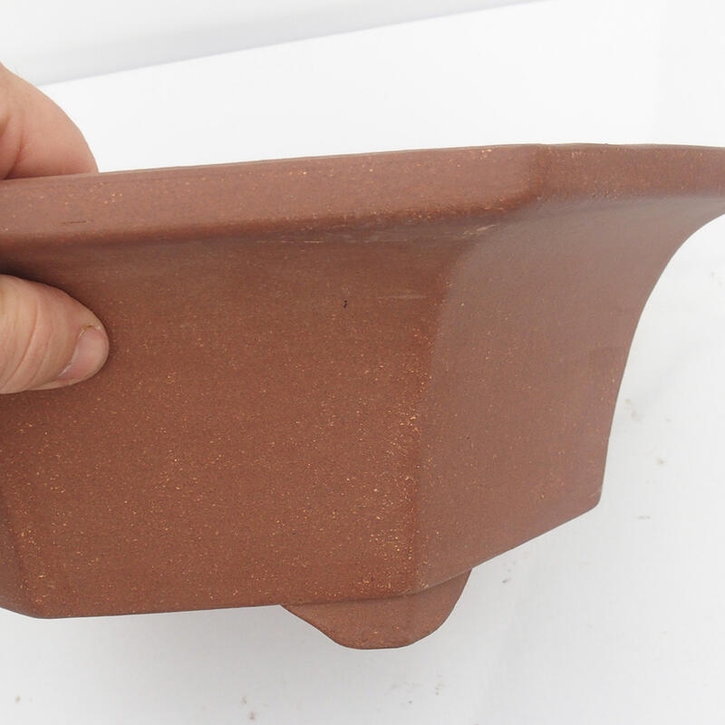 Bonsaischaal 36 x 34 x 12 cm - Japanse kwaliteit