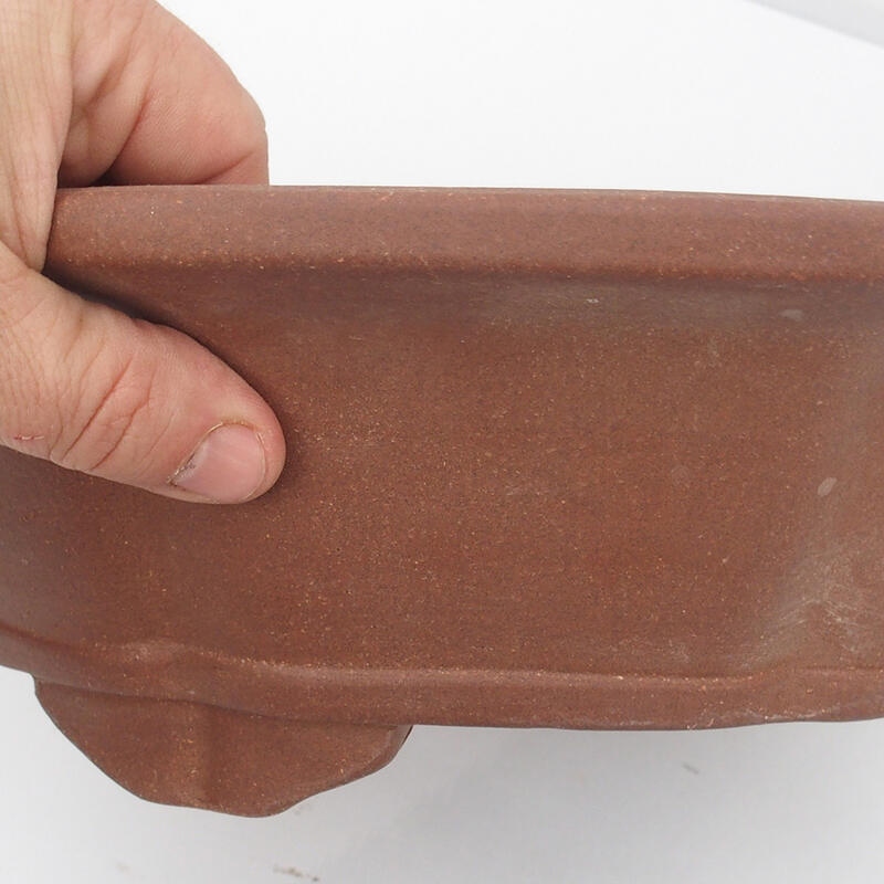 Bonsaischaal 36 x 36 x 10 cm - Japanse kwaliteit