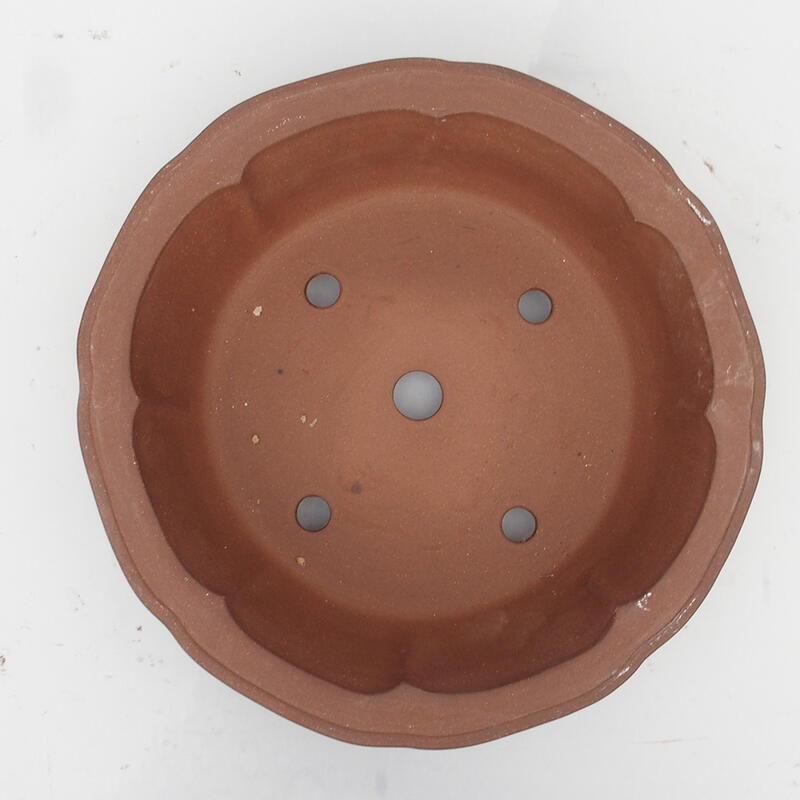 Bonsaischaal 36 x 36 x 10 cm - Japanse kwaliteit