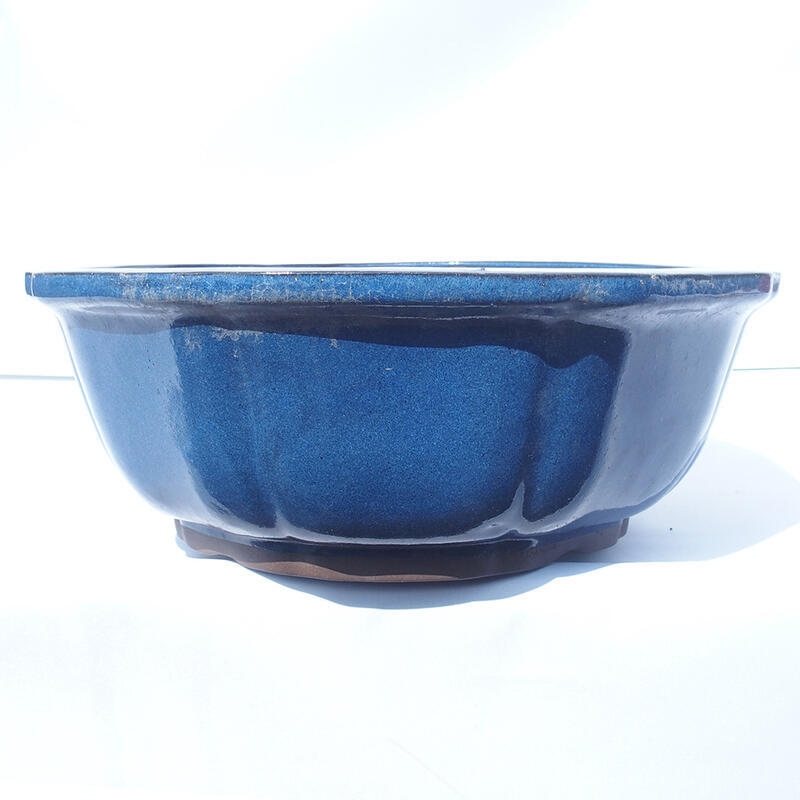 Bonsaischaal 36 x 36 x 13 cm blauw