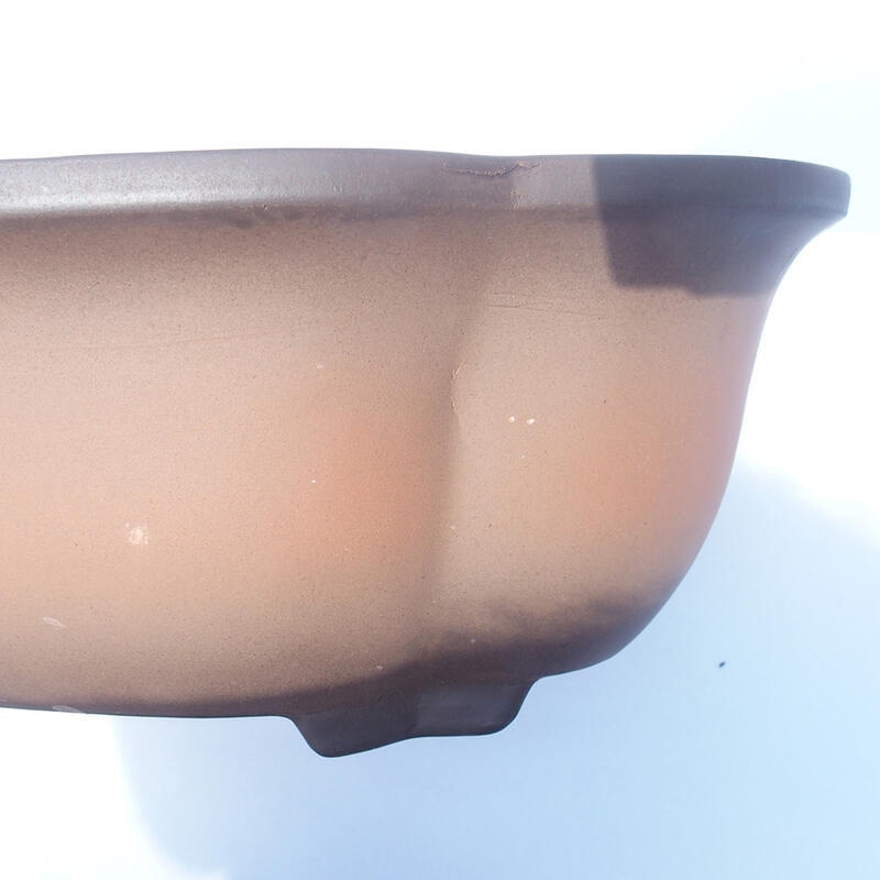 Bonsaischaal 37 x 29 x 13 cm