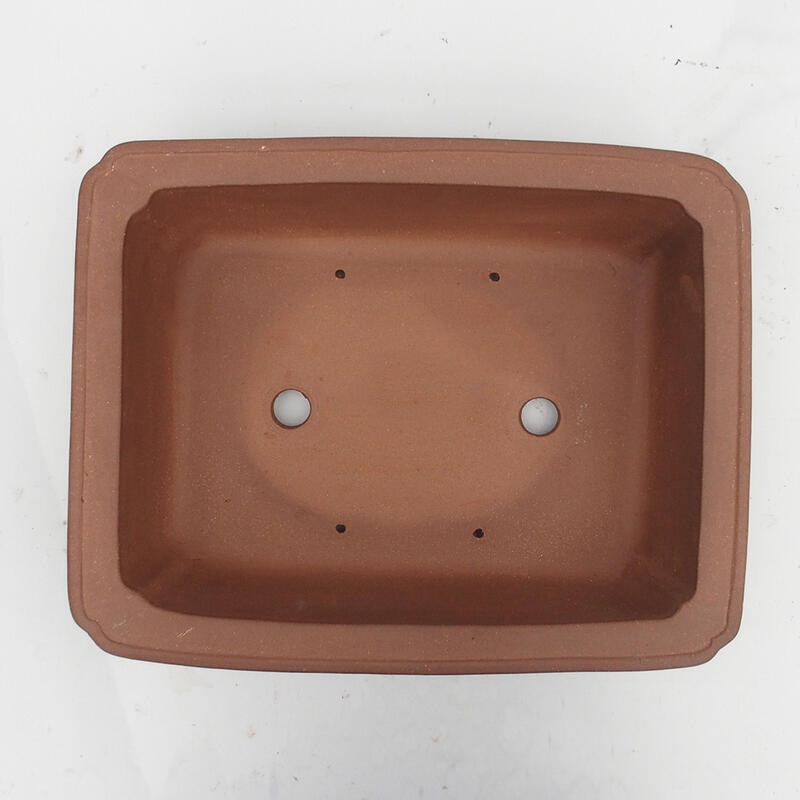 Bonsaischaal 38 x 30 x 11 cm - Japanse kwaliteit