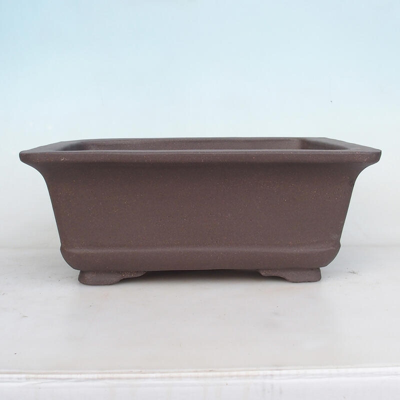 Bonsaischaal 38 x 30 x 19 cm, natuurlijke kleur