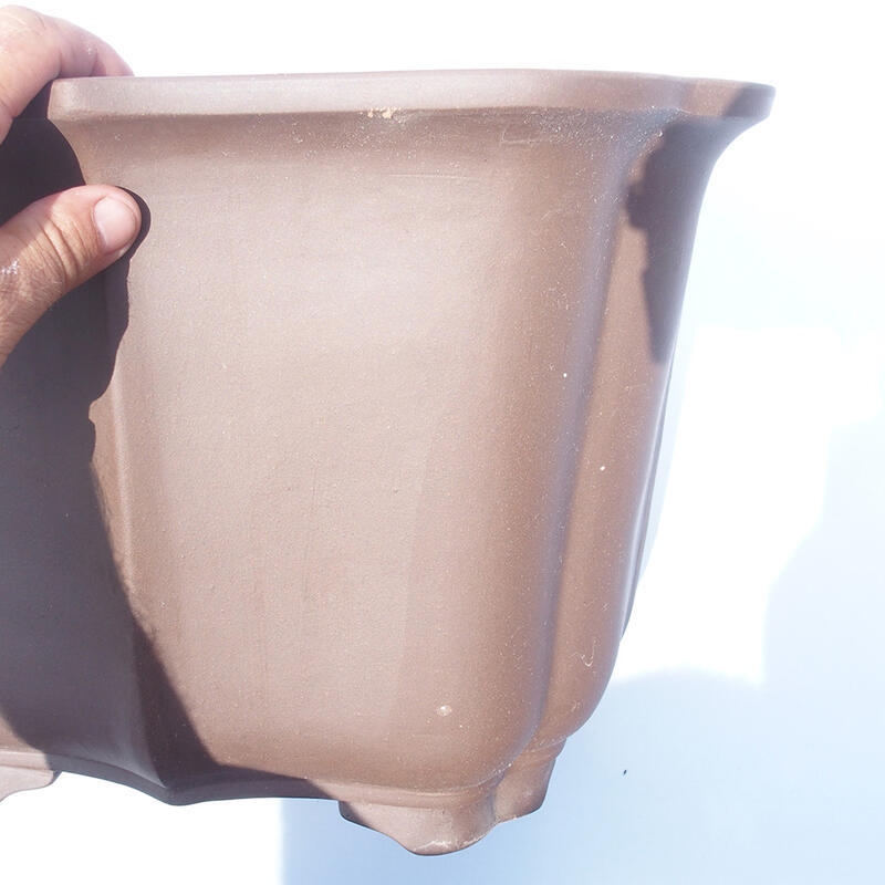 Bonsaischaal 38 x 31 x 27 cm