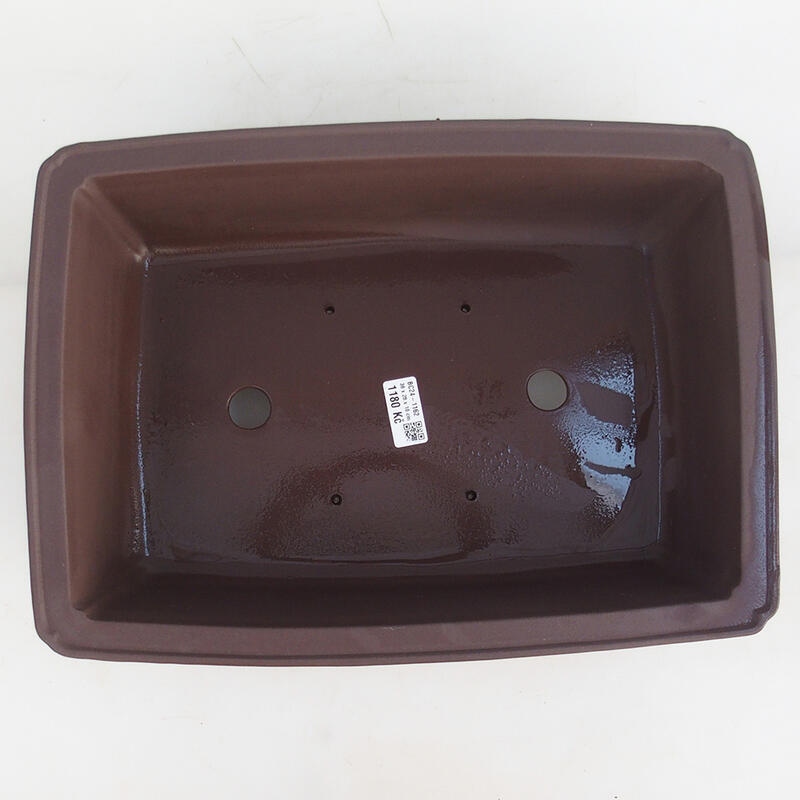 Bonsaischaal 39 x 28 x 11 cm, bruin