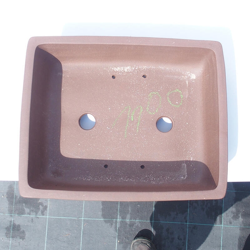 Bonsaischaal 39 x 31 x 11 cm