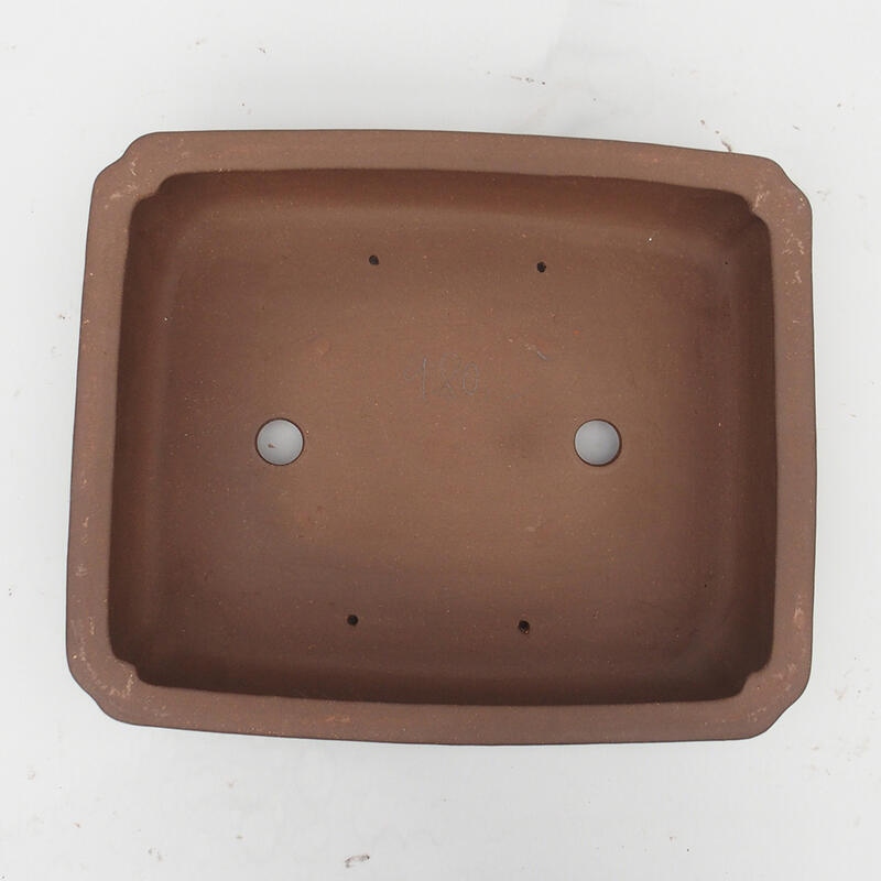 Bonsaischaal 39 x 33 x 11 cm - Japanse kwaliteit