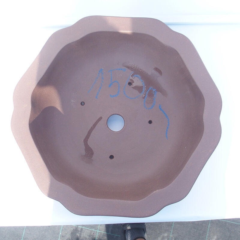 Bonsaischaal 39 x 37 x 10 cm