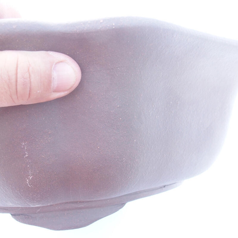 Bonsaischaal 39 x 37 x 10 cm