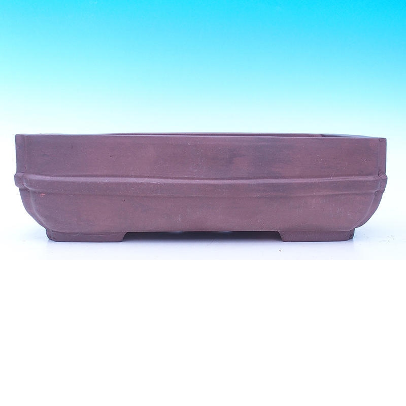 Bonsaischaal 40 x 29 x 12 cm