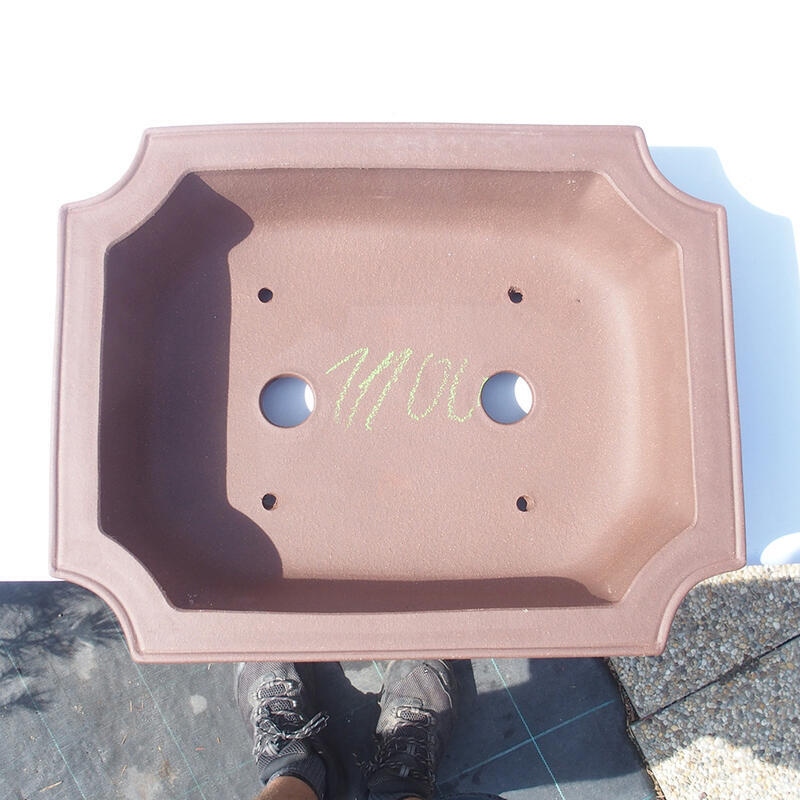 Bonsaischaal 40 x 31 x 9,5 cm