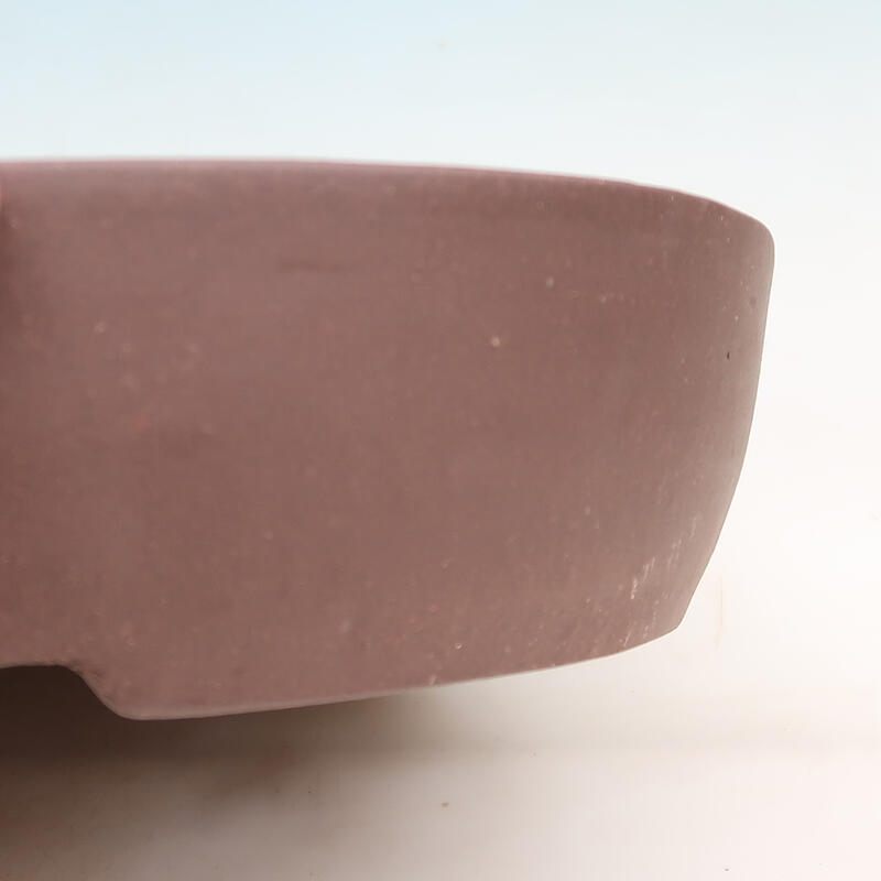 Bonsaischaal 40 x 32 x 8 cm, bruin