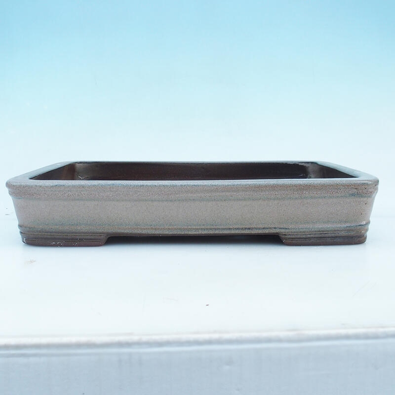 Bonsai-schaal 41 x 28 x 7 cm, kleur beige