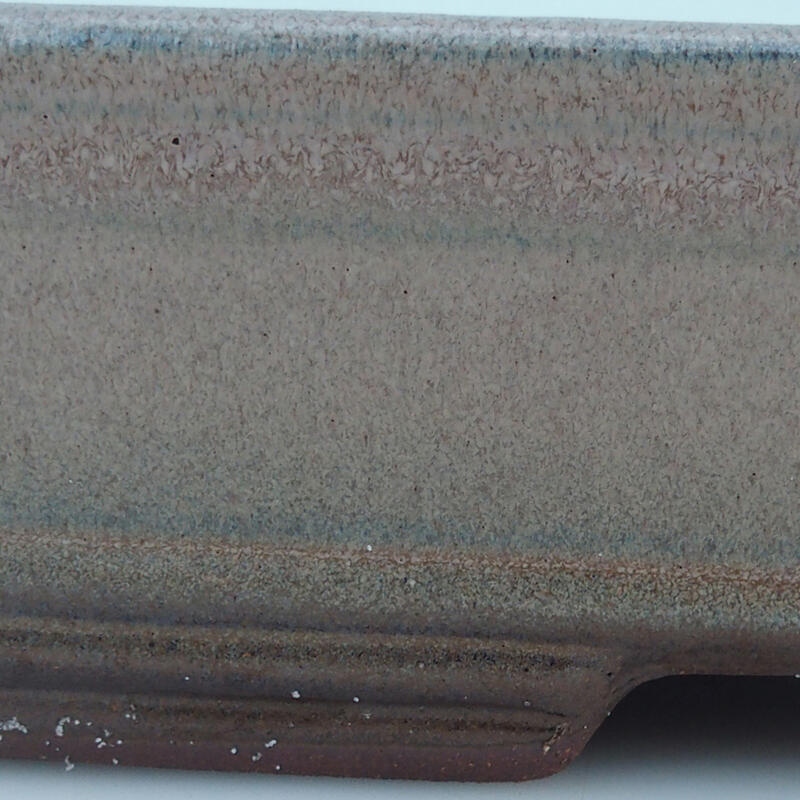 Bonsai-schaal 41 x 28 x 7 cm, kleur beige
