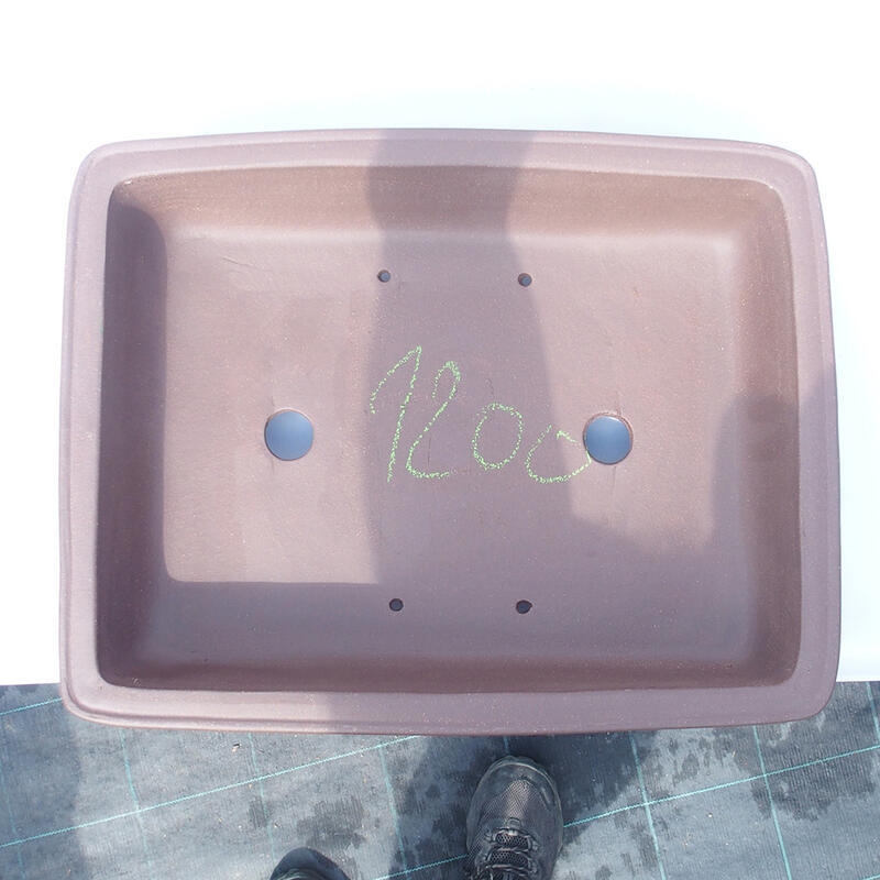 Bonsaischaal 41 x 32 x 10 cm