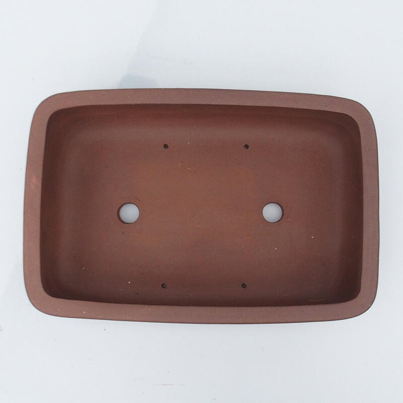 Bonsaischaal 42 x 28 x 11,5 cm - Japanse kwaliteit