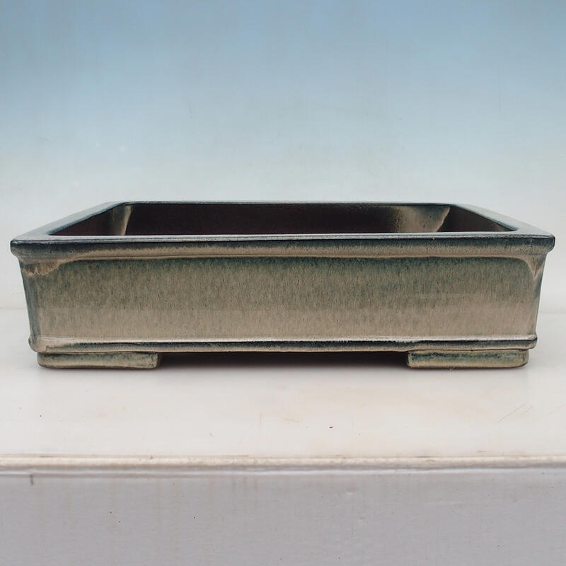 Bonsaischaal 42 x 33 x 11 cm, kleur blauw-beige - alleen transport per pallet