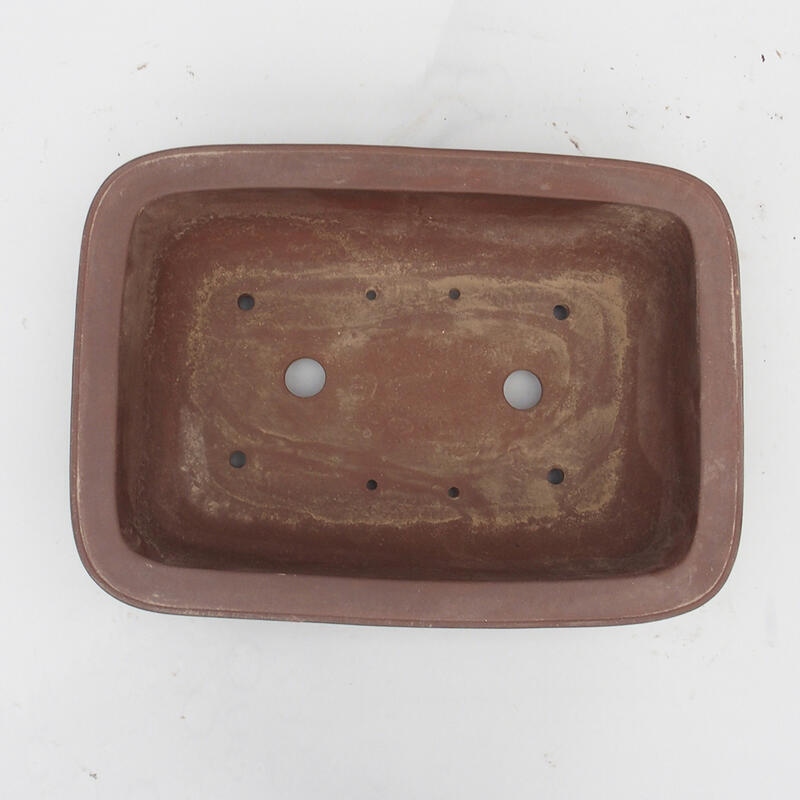 Bonsaischaal 43 x 31 x 12 cm - Japanse kwaliteit