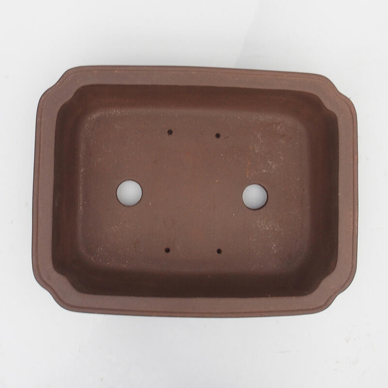 Bonsaischaal 43 x 32 x 11 cm - Japanse kwaliteit