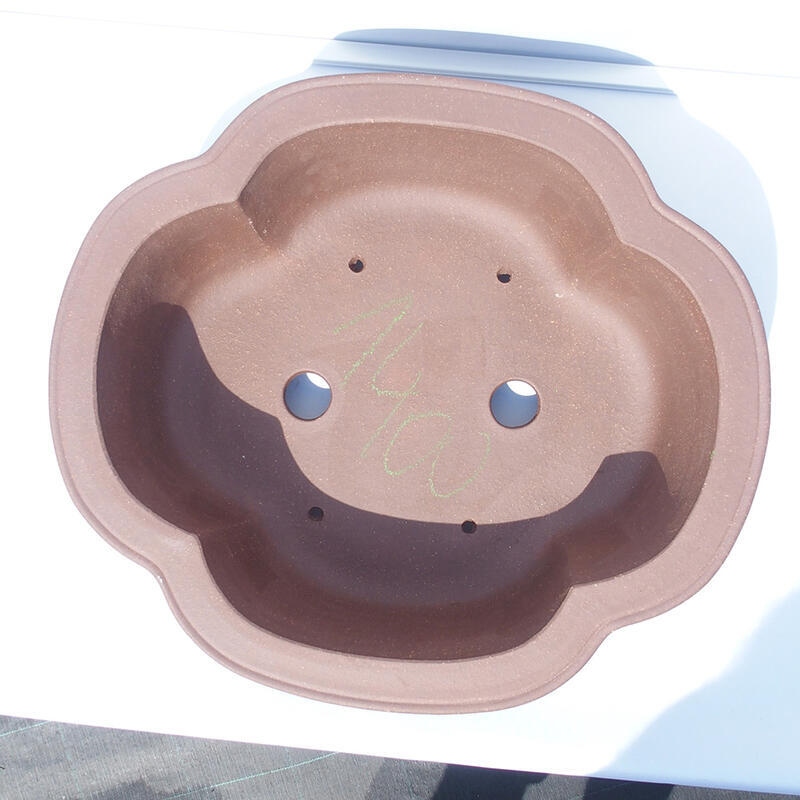 Bonsaischaal 44 x 39 x 14 cm