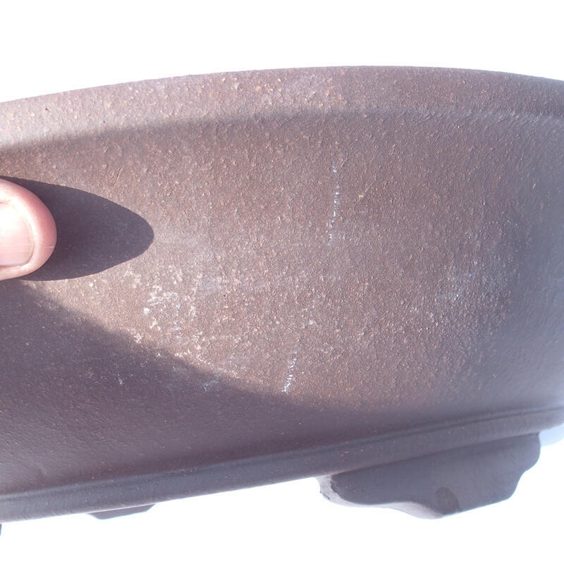 Bonsaischaal 44 x 44 x 11 cm