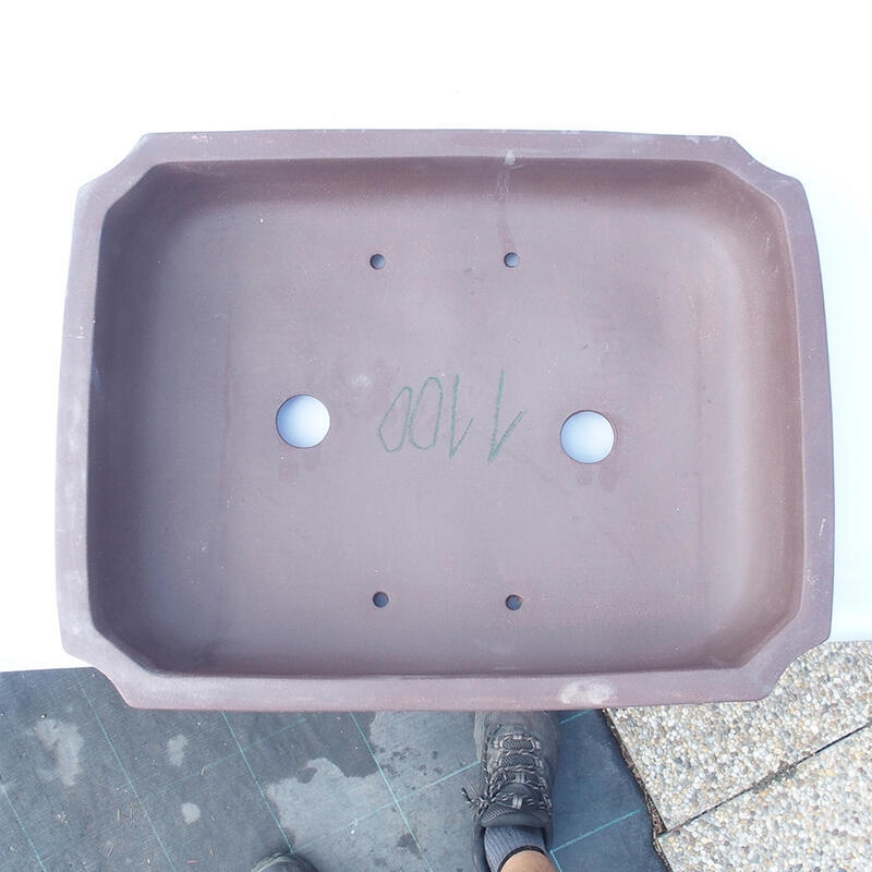 Bonsaischaal 45 x 34 x 10 cm