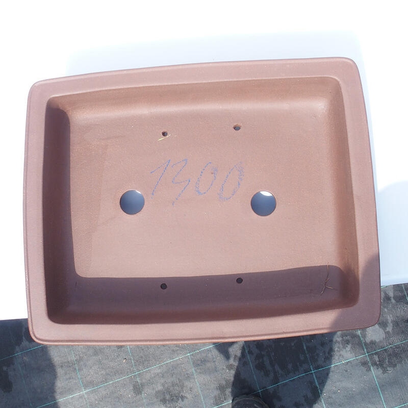 Bonsaischaal 45 x 36 x 11 cm