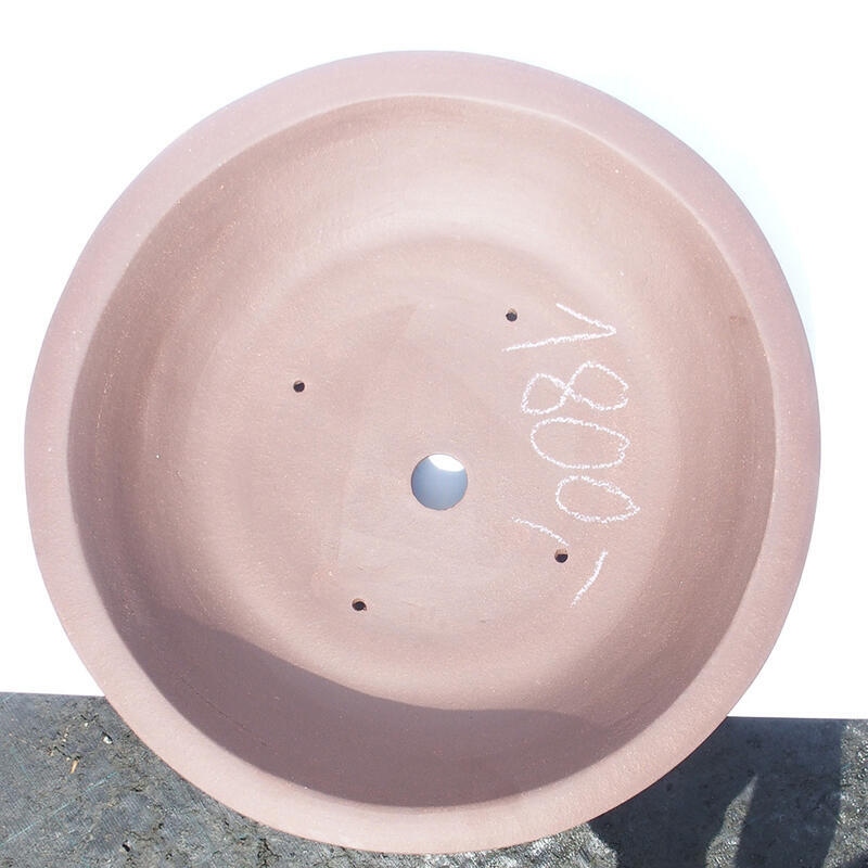 Bonsaischaal 45 x 45 x 9 cm