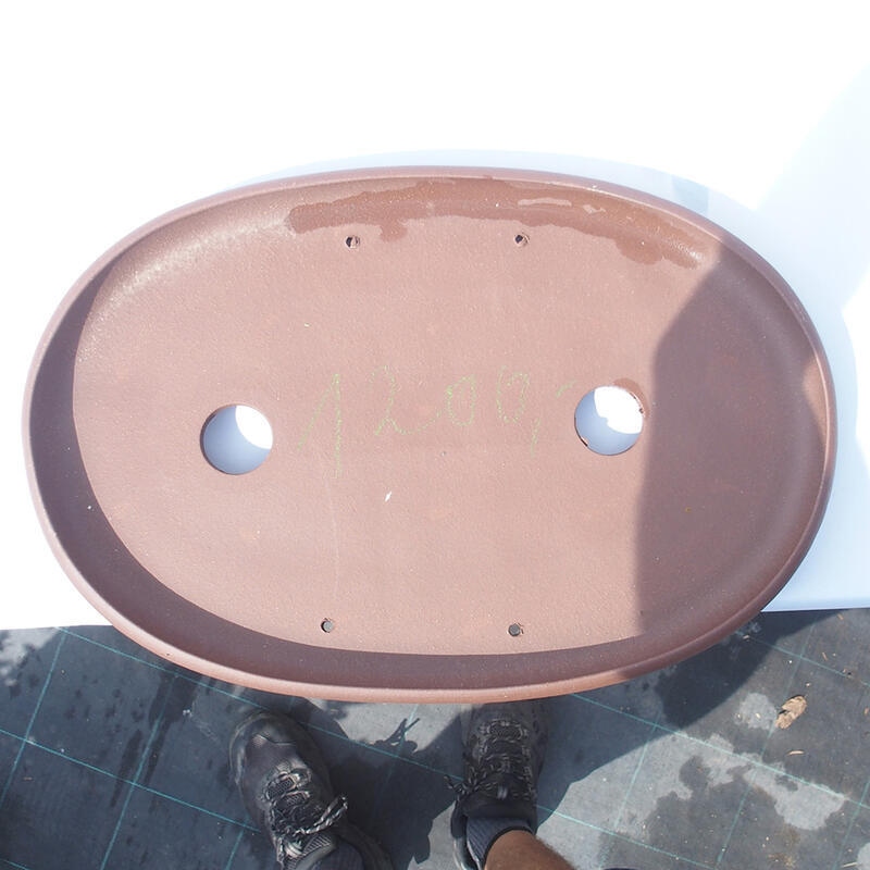 Bonsaischaal 47 x 31 x 4 cm