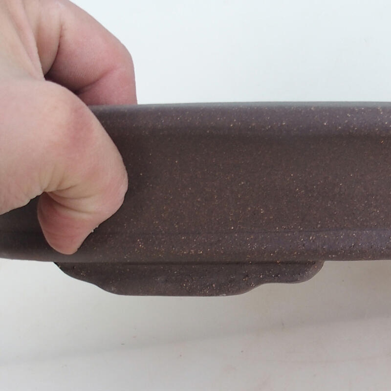 Bonsaischaal 47 x 31 x 6 cm, natuurlijke kleur