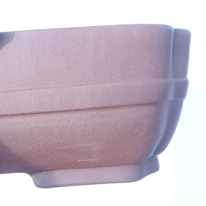 Bonsaischaal 47 x 36 x 12 cm