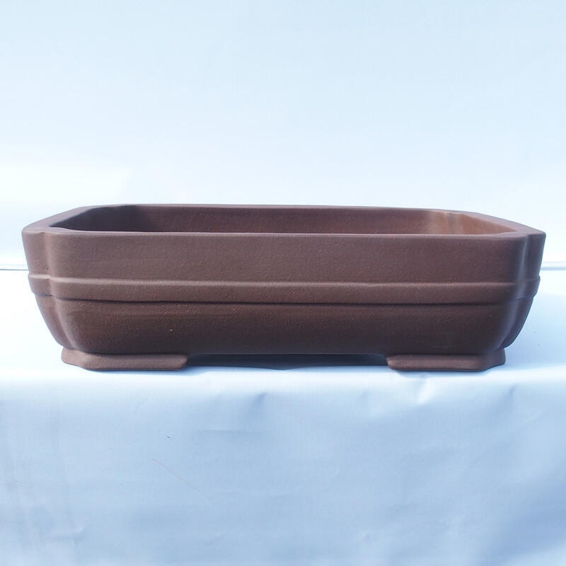 Bonsaischaal 47 x 36 x 12 cm