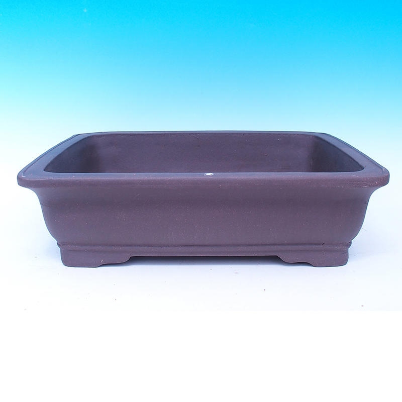 Bonsaischaal 47 x 37 x 13 cm