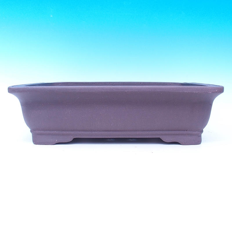 Bonsaischaal 47 x 37 x 13 cm