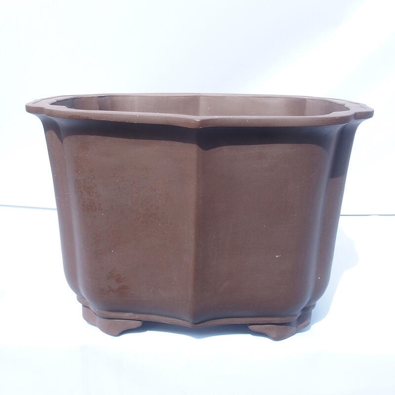 Bonsaischaal 47 x 42 x 31 cm