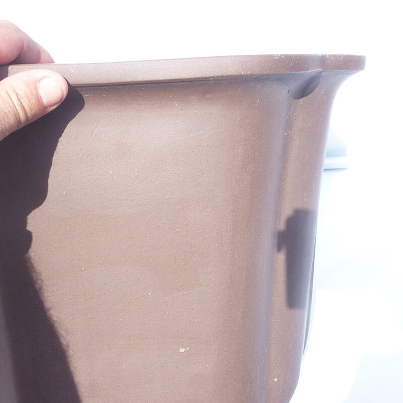 Bonsaischaal 47 x 42 x 31 cm