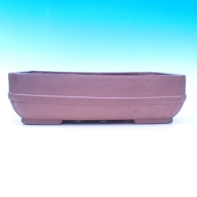 Bonsaischaal 48 x 34 x 13 cm