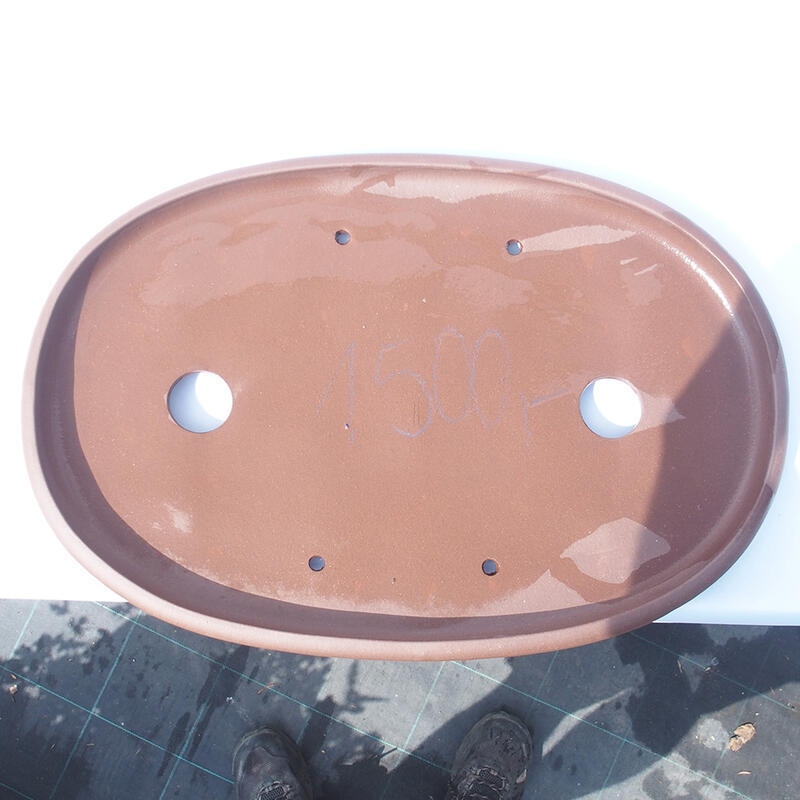 Bonsaischaal 48 x 37 x 5 cm