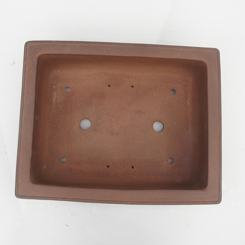 Bonsaischaal 49 x 39 x 14 cm - Japanse kwaliteit