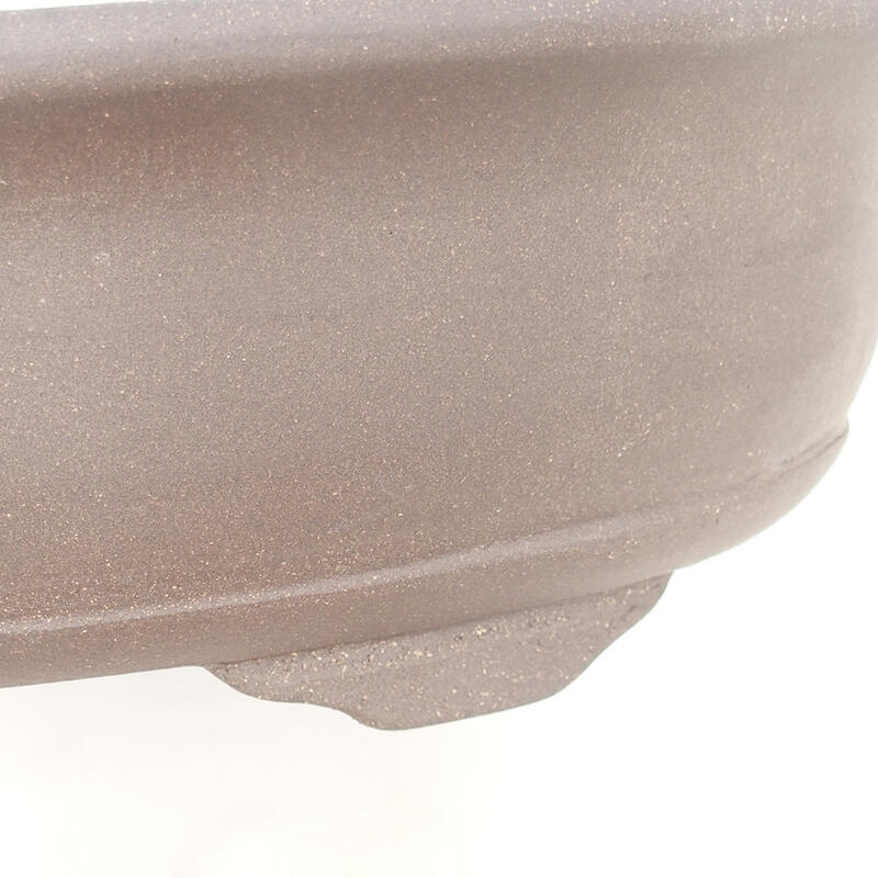 Bonsaischaal 50,5 x 42,5 x 14 cm