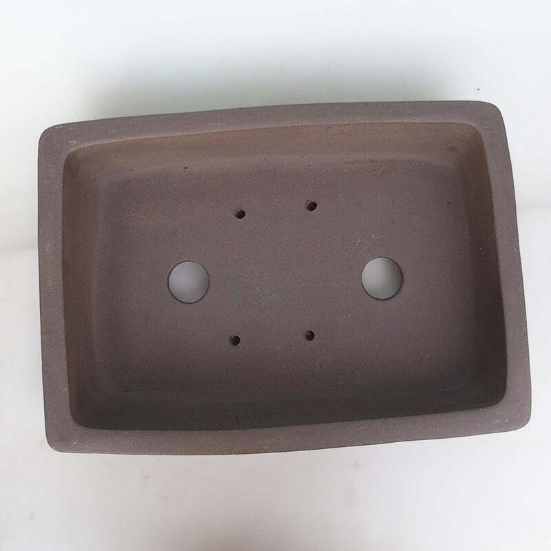 Bonsaischaal 50 x 36 x 10 cm, natuurlijke kleur