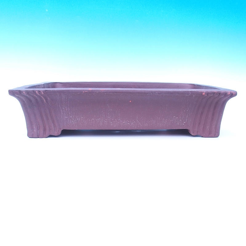 Bonsaischaal 50 x 37 x 11 cm